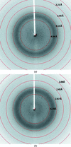 [Figure 2]