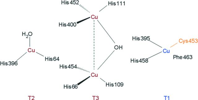 [Figure 1]