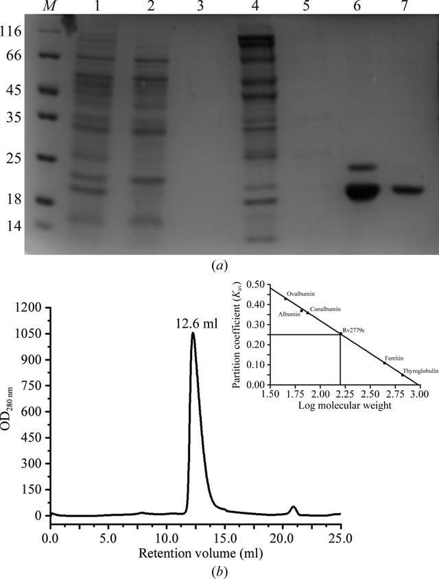 [Figure 1]