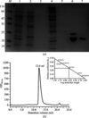 [Figure 1]