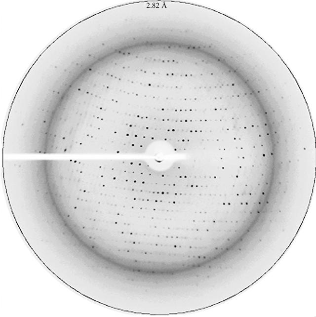 [Figure 3]