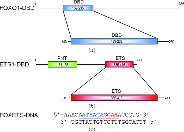 [Figure 1]