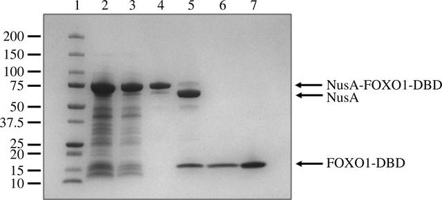 [Figure 2]