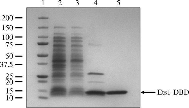 [Figure 3]