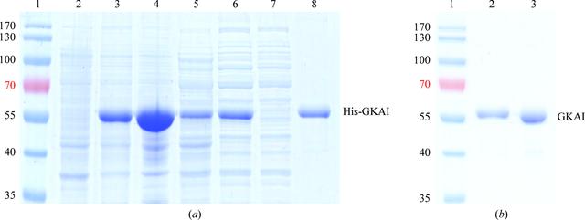 [Figure 1]