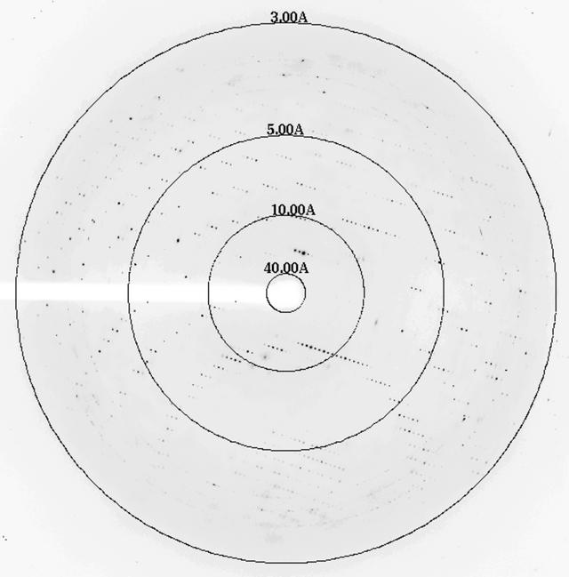 [Figure 3]