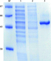 [Figure 1]