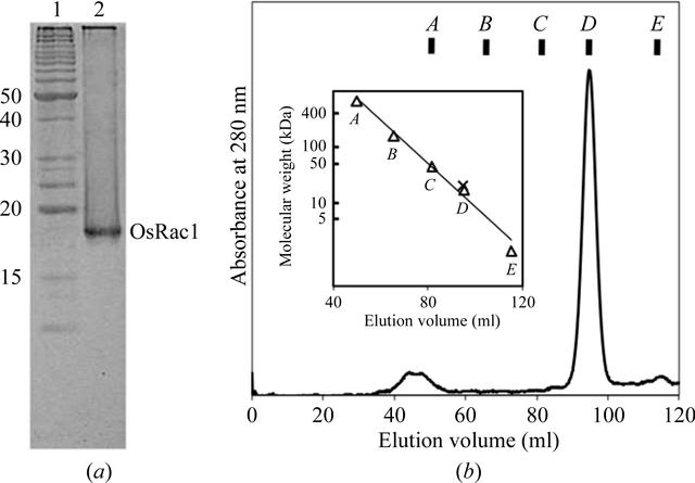 [Figure 1]