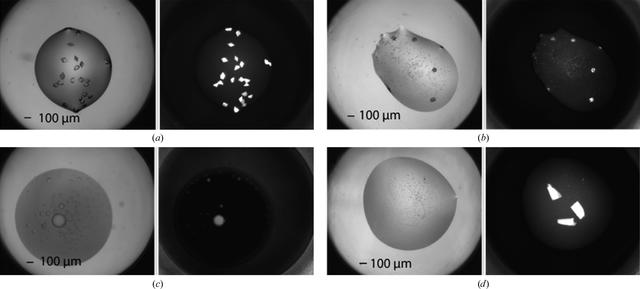 [Figure 5]