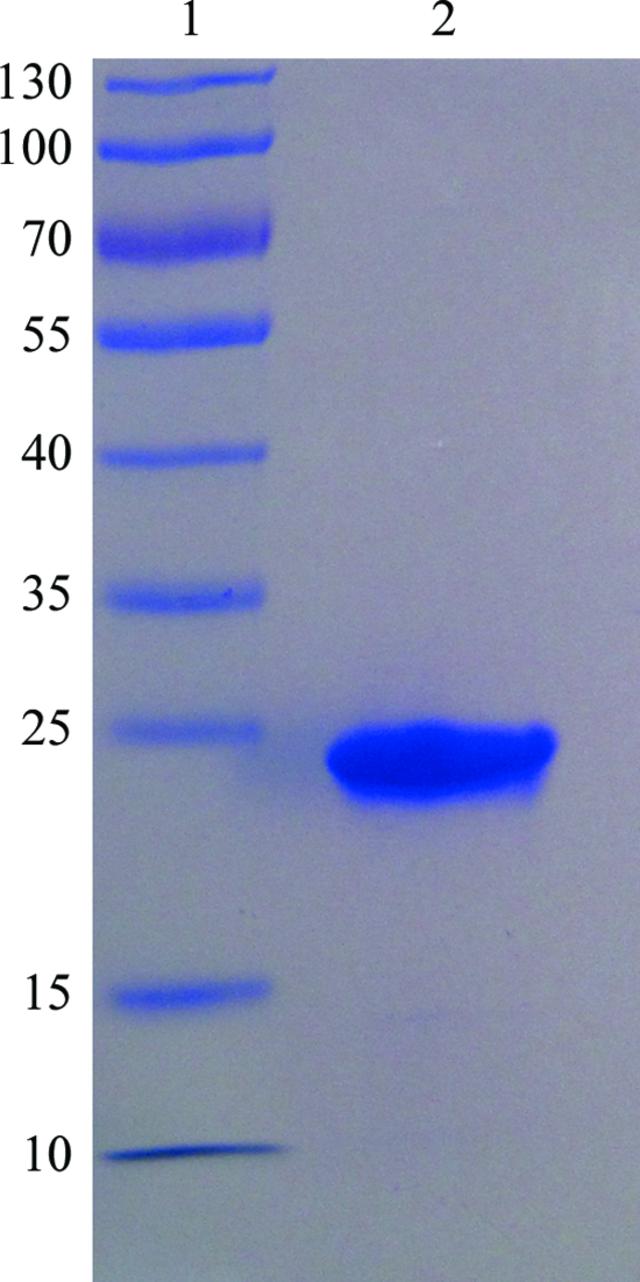 [Figure 1]