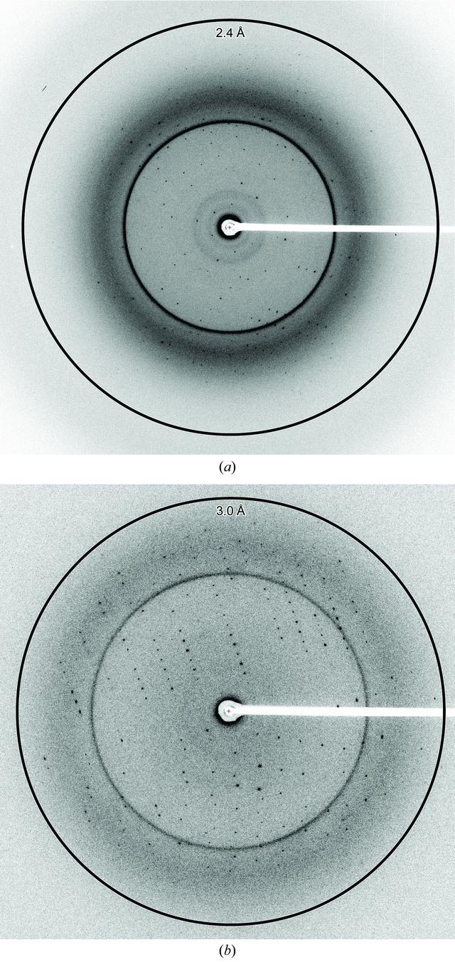 [Figure 3]