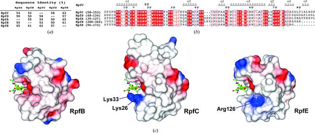 [Figure 2]