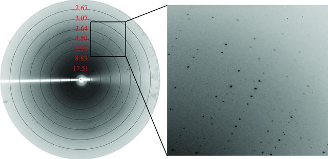 [Figure 2]