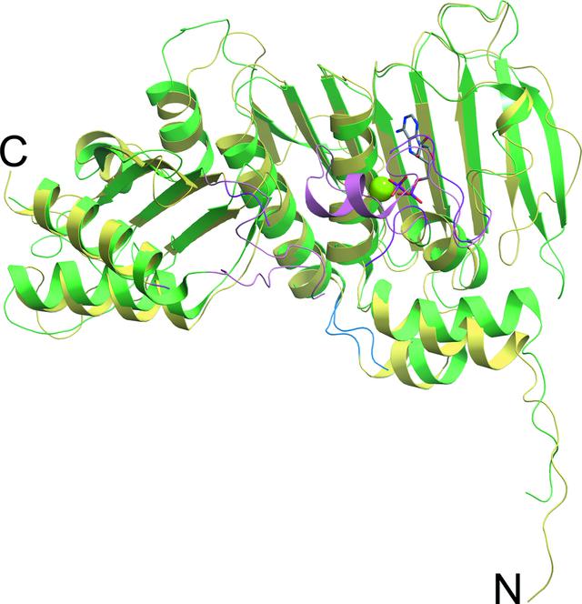 [Figure 1]