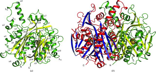 [Figure 2]