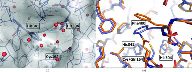 [Figure 3]