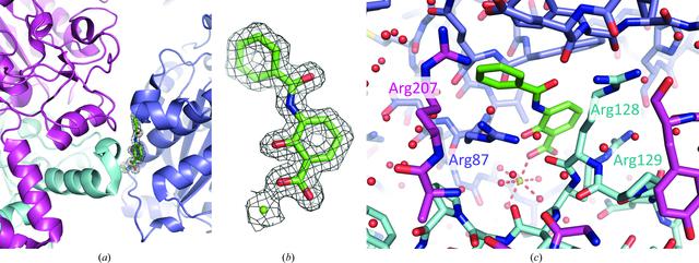 [Figure 5]