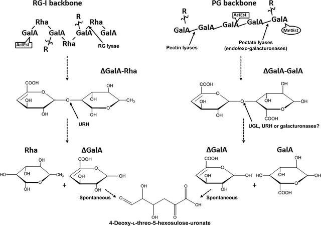 [Figure 1]