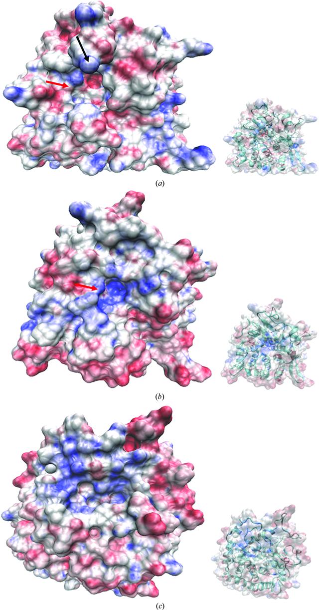 [Figure 3]