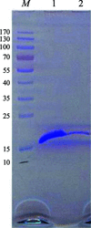 [Figure 1]