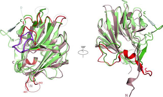 [Figure 4]