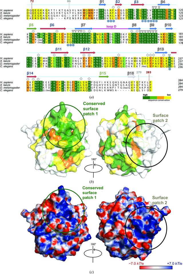 [Figure 5]