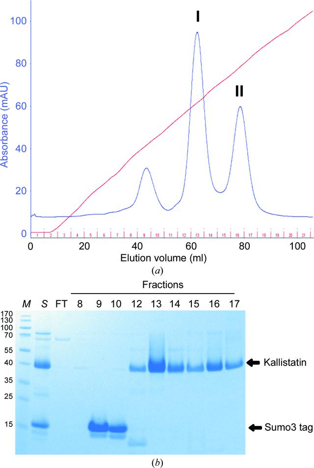 [Figure 1]