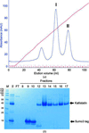 [Figure 1]