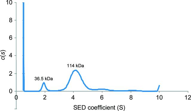 [Figure 5]