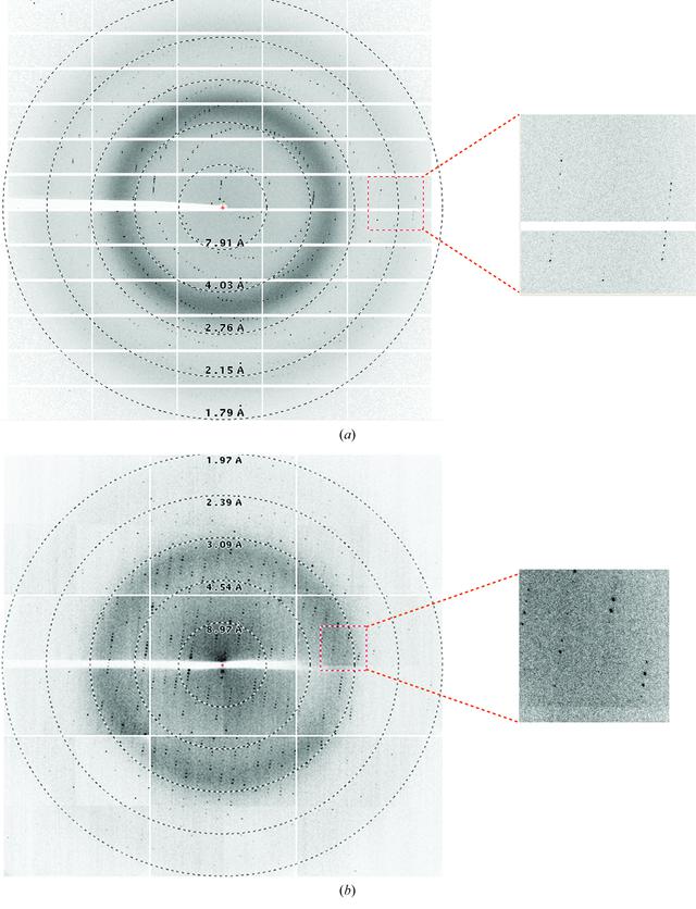 [Figure 4]