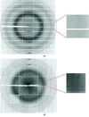 [Figure 4]