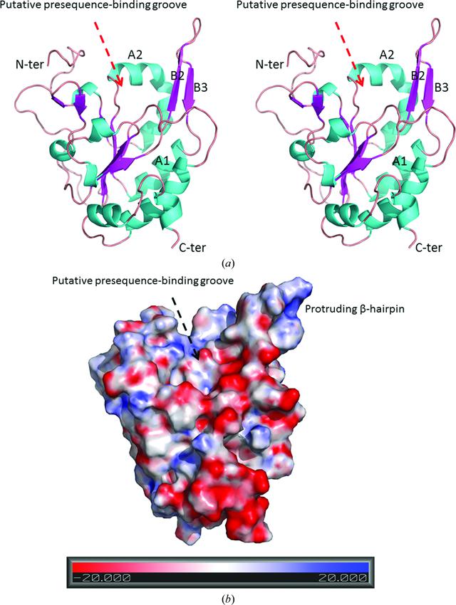 [Figure 1]