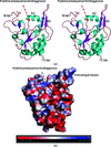 [Figure 1]