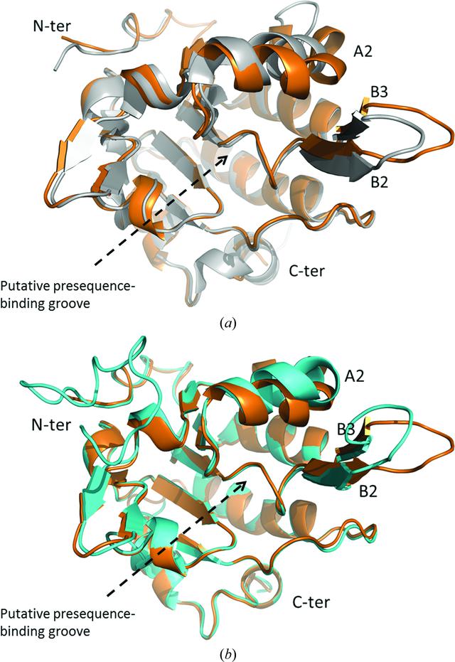 [Figure 2]