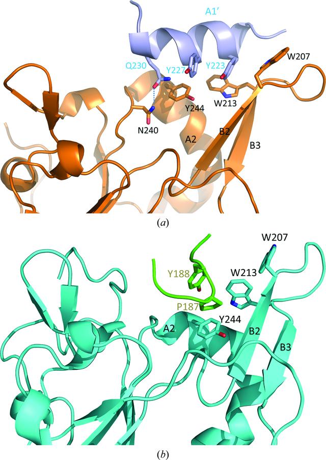 [Figure 3]