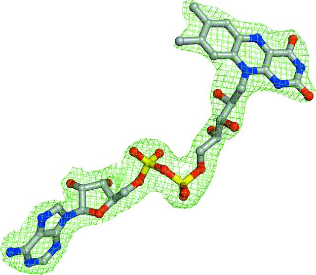 [Figure 3]