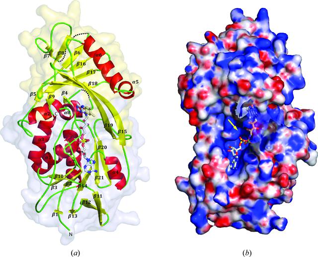 [Figure 4]