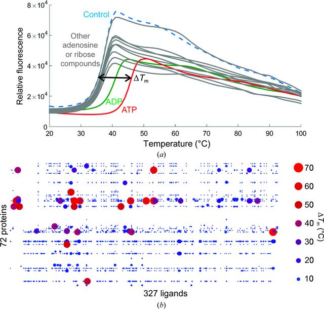 [Figure 4]