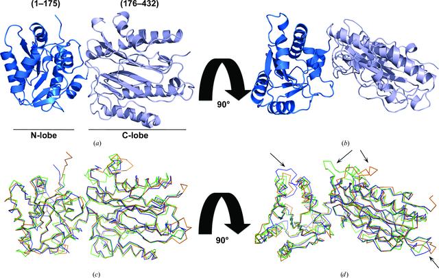 [Figure 2]