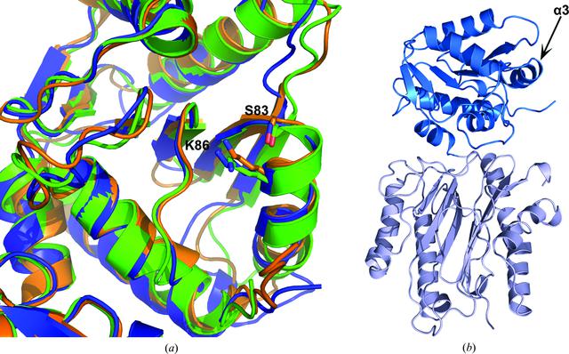 [Figure 3]