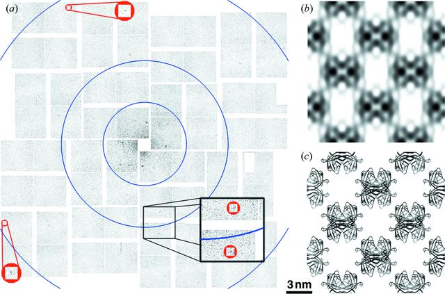 [Figure 1]