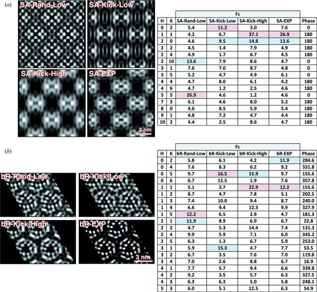 [Figure 3]