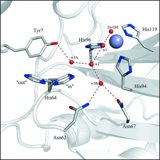 [Figure 1]