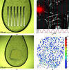 [Figure 2]