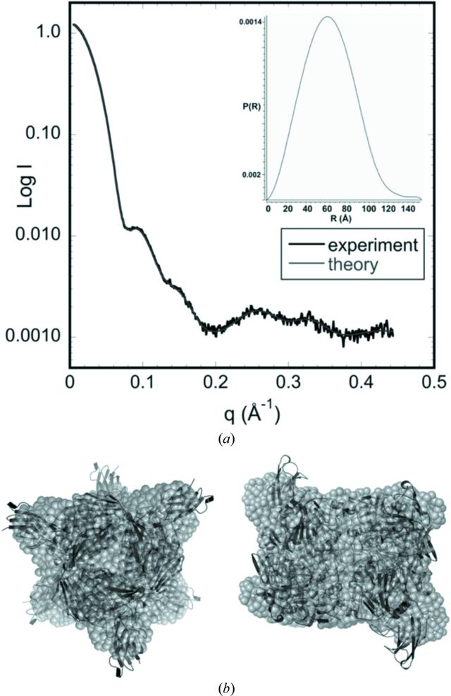 [Figure 2]