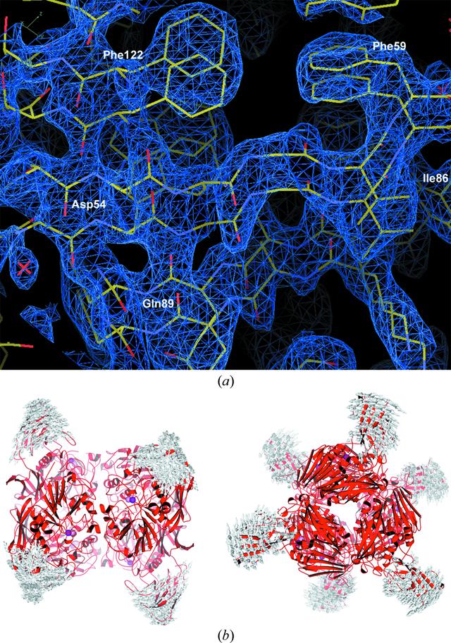 [Figure 4]