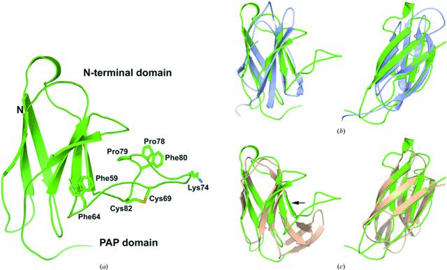 [Figure 5]