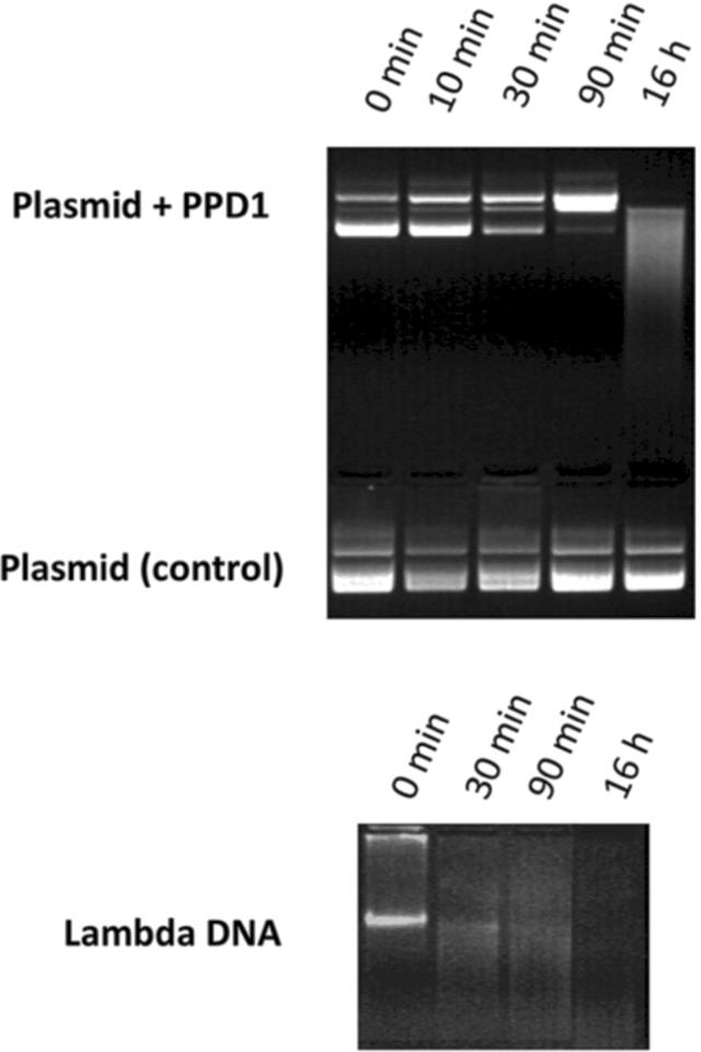 [Figure 6]