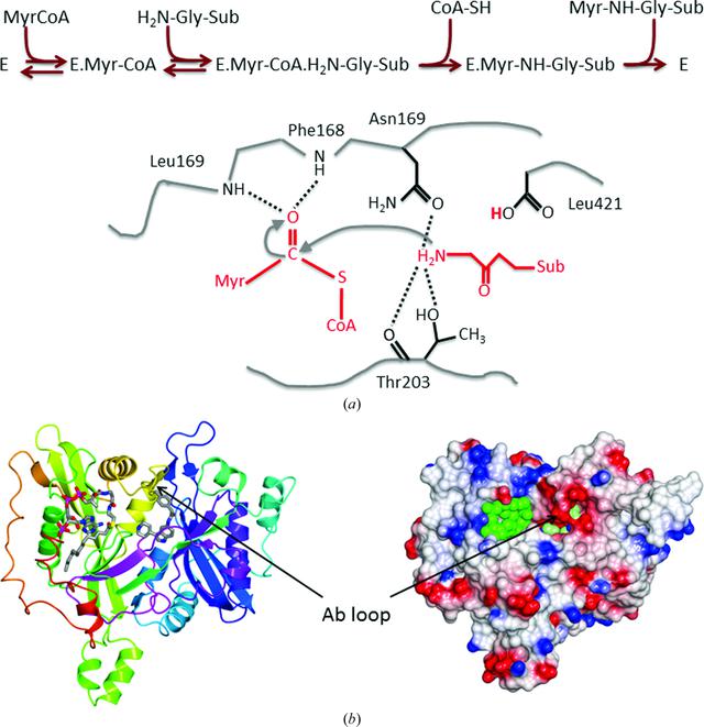 [Figure 1]