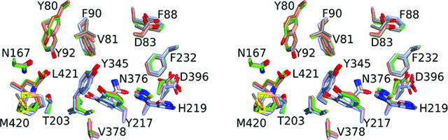 [Figure 4]